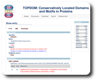 TOPDOM